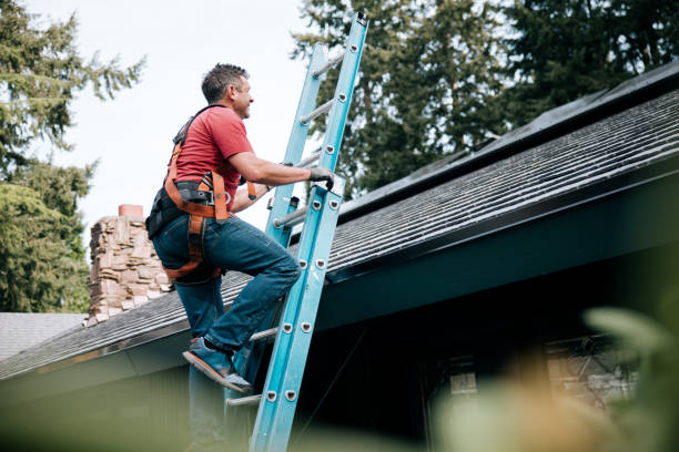 Professional Roofing Service  in Saylorville, IA